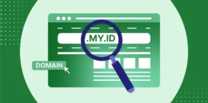 Domain My ID