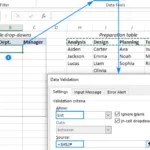 Cara Membuat Pilihan di Excel