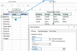 Cara Membuat Pilihan di Excel